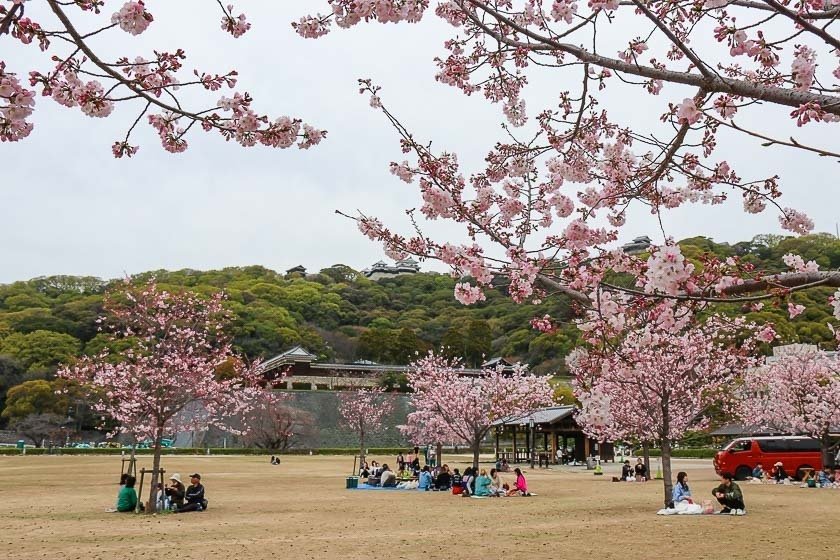 🏞️ 마쓰야마 공원(마쓰야마 코엔)